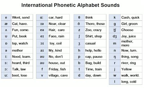 songs about the alphabet|alphabet proper pronunciation song.